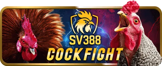sutbong123 casino Khuyến Mãi Mới Nhất